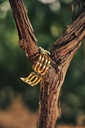 Knotted Moulding Double Bracelet