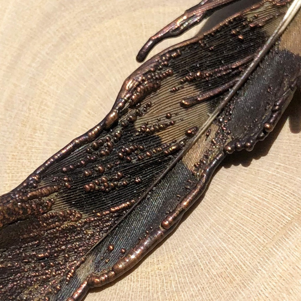 Hoopoe feather necklace