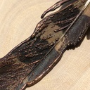 Hoopoe feather necklace