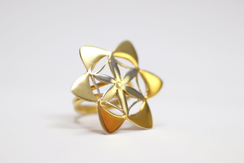 The Golden Temple Seed of Life gold and platinum