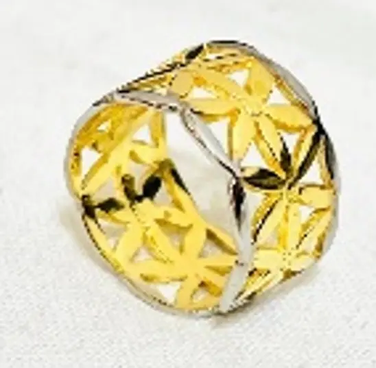 "The Ring" Set Ring Gold & Platinum Frame Ring