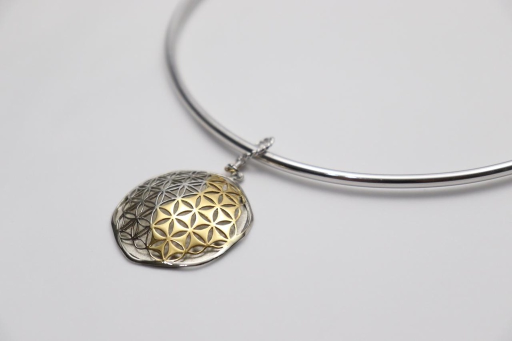 The Yinyang dome platinum Necklace