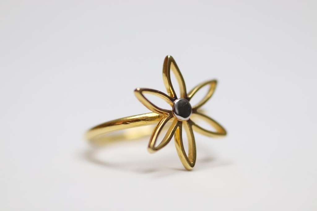 Empty Seed Of Life Ring (Small)
