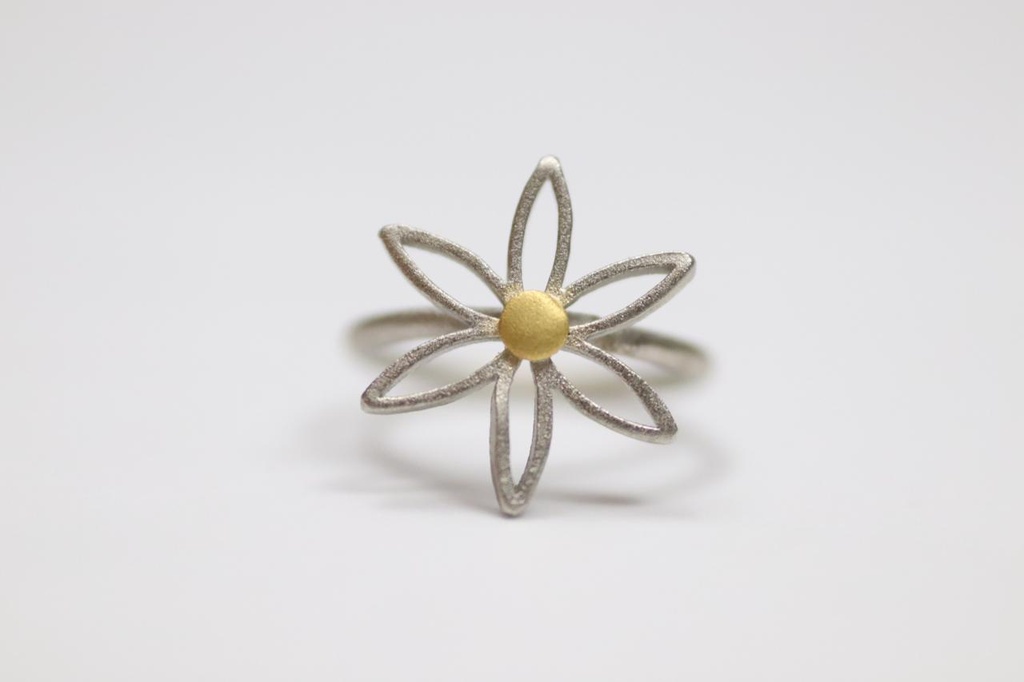 Empty Seed of life Ring (Large)