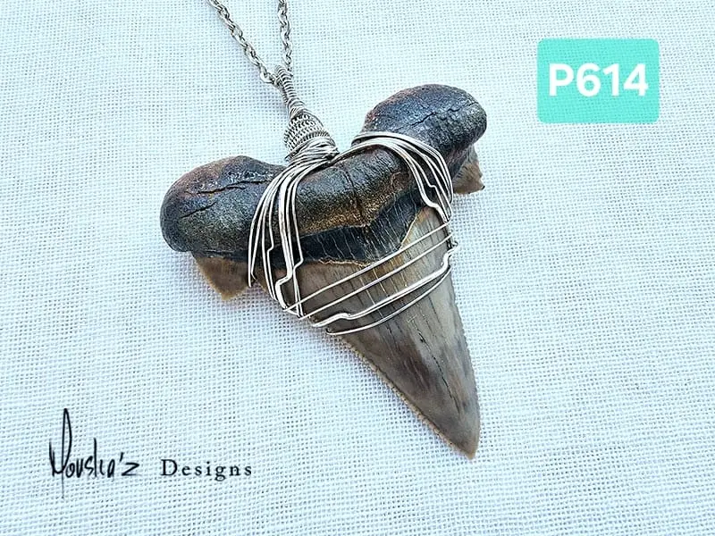 (P614)  Fossilized Shark Tooth from the Egyptian desert