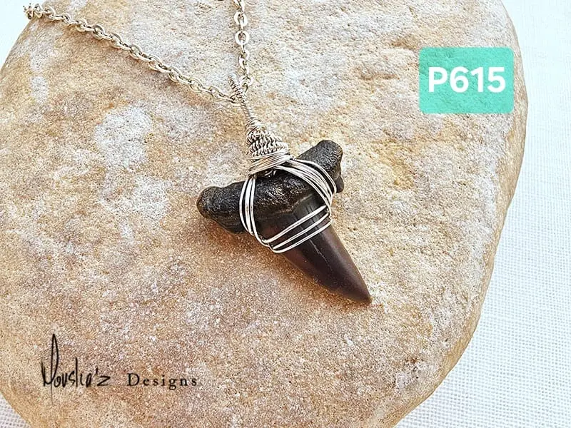(P615) Fossilized Shark Tooth from the Egyptian Desert Pendant