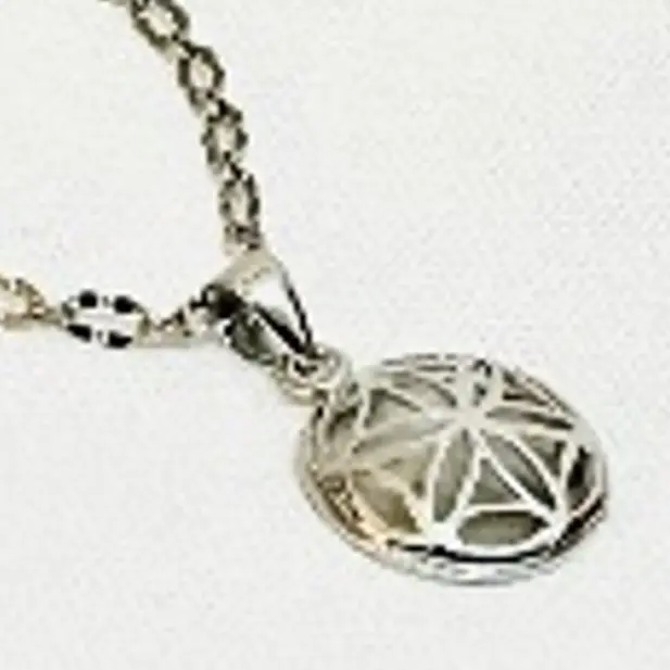 the mother seed shiny silver with matte layer Necklace 