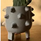 Pot Monster