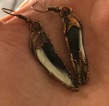 (GYE009) black & white parrot feather earrings (small)