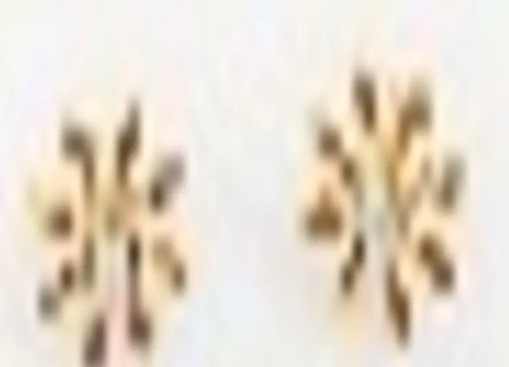 Minimal Flowery collection , handmade Daisies Flower sterling silver gold plated with pink pearl Studs Earrings