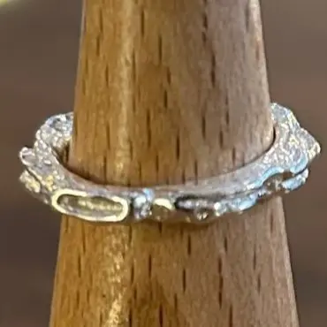 Unearthed Single Band Ring