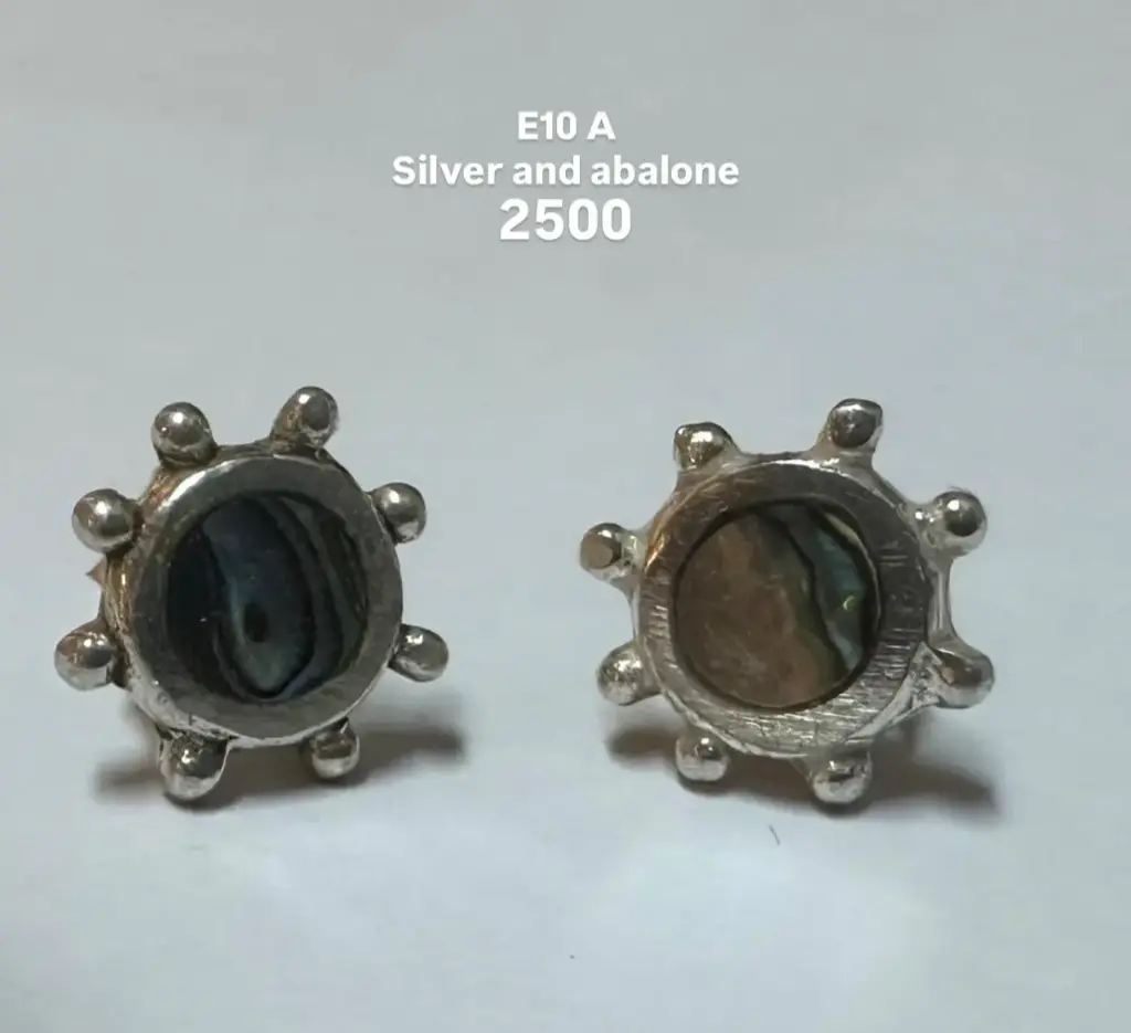 E10A Silver With Abalone Earrings 