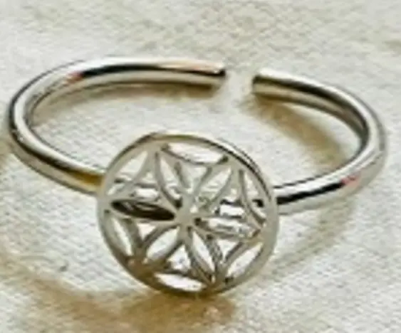original empty seed of life silver size 2 *1cm