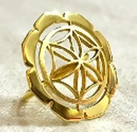 The convex seed of life with sri frame 2.5cm gold