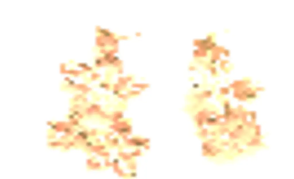 Flowery Collection, Handmade Sterling Silver, Gold  plated ,Engraved Jasmine Flowers Dandling Earring 