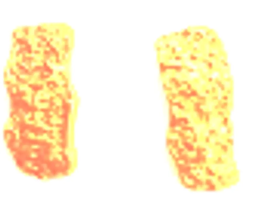 Just Earring Collection, Sterling Silver, 18 k gold plated , rocky impression organic Earrings 