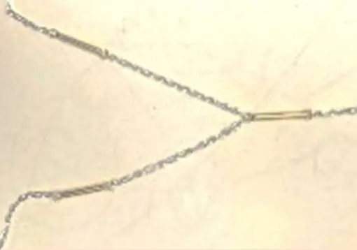 (Linked Collection) Linked Necklace