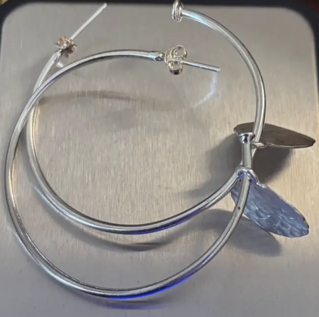 Oyster Circles Hoops Earrings