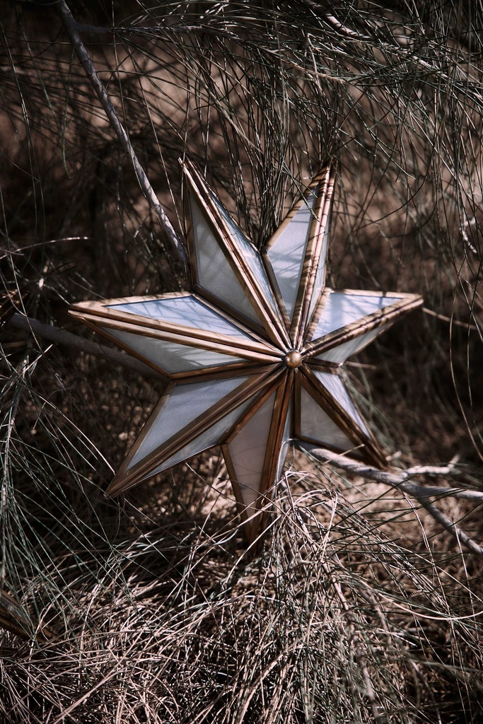 Star Frosted Hangings