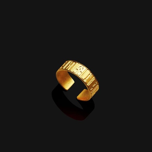 [SPJ01073] Ankh Hieroglyphics Ring