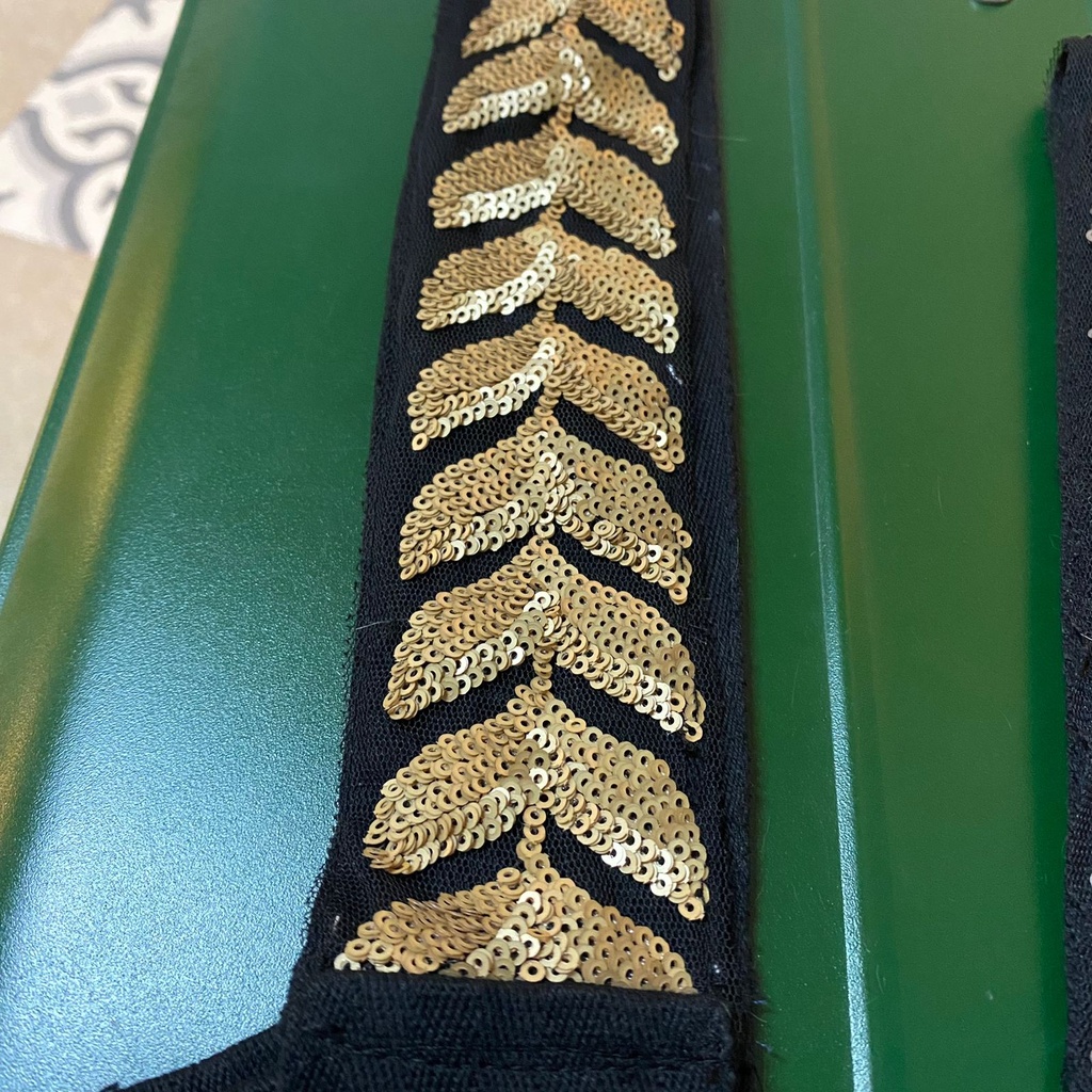 leaves branch