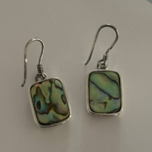 [LAI01098] Dangling long Ocean Earrings