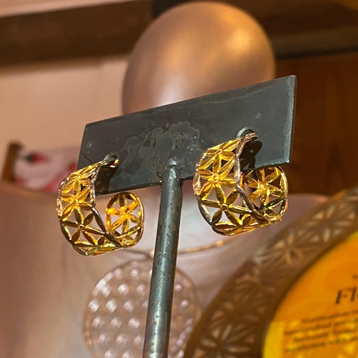 [NJE01011] The Ring Earring Gold With Platinum Frame