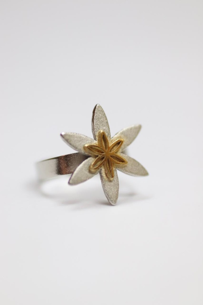 Seed inside a seed solid on top (Silver)