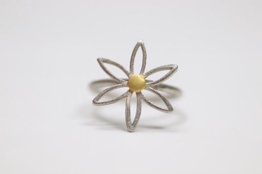 Empty Seed of life Ring (Large)
