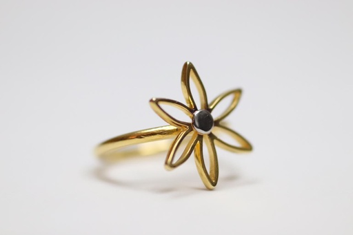 Empty Seed Of Life Ring (Small)