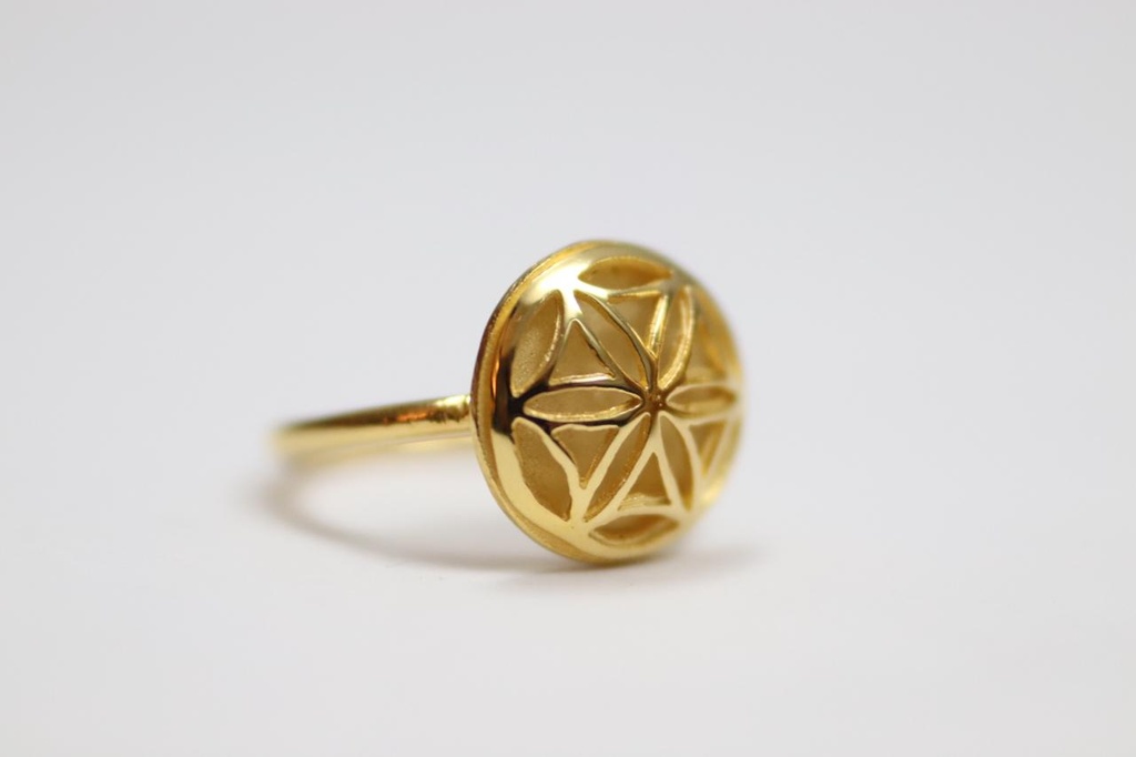 (NR07G) the dome seed of life with matte layer underneath ,gold