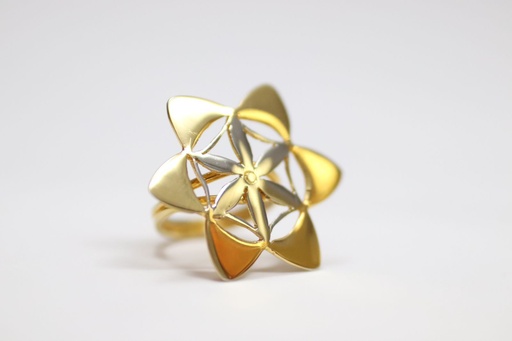 [NJE01020] The Golden Temple Seed of Life gold and platinum