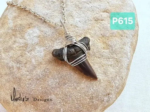 [MDE01448] (P615) Fossilized Shark Tooth from the Egyptian Desert Pendant